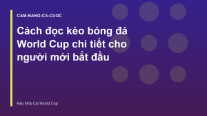 Read more about the article Cách đọc kèo bóng đá World Cup chi tiết cho người mới bắt đầu